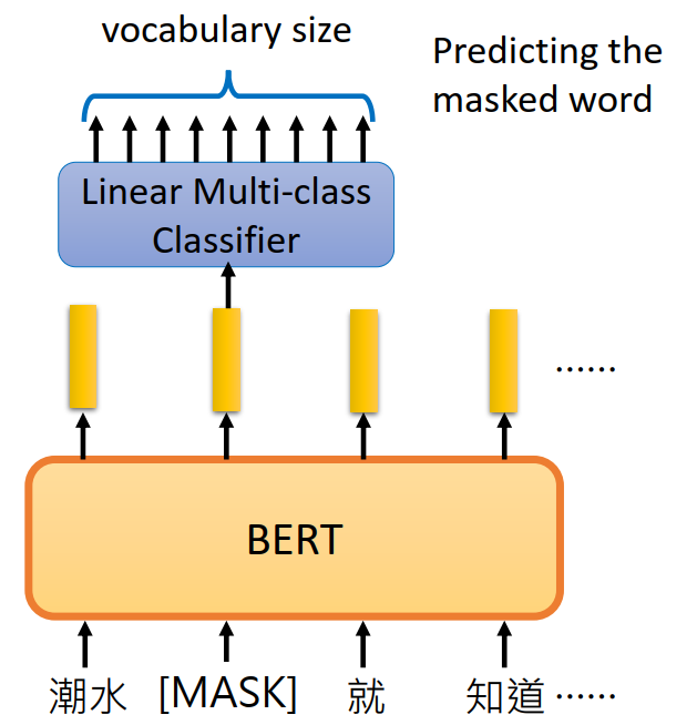 bert-train-masked-lm